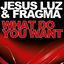 Cover What Do You Want