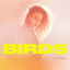 Cover Birds