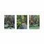 Cover Muir Woods