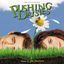 Cover Pushing Daisies (Original Television Soundtrack)