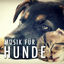 Cover Musik für Hunde zum Einschlafen