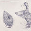 Cover Umbilical
