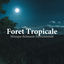 Cover Foret Tropicale: Musique Relaxante Instrumentale, Ethnique Flûte et Nature, Ambiance de la Forêt Avec Bruit de L'eau