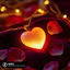 Cover Favorite