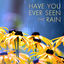 Cover Have You Ever Seen the Rain