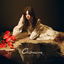 Cover Chiaroscuro