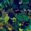Cover Jungle By Night