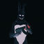 Cover Donnie Darko Got the Draco