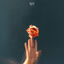 Cover Say It