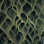 Cover Oceans