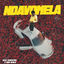 Cover Ndavomela