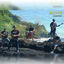 Cover Apepe