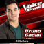 Cover Stitches (The Voice Brasil 2016)