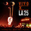 Cover Vivo X la 25