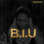 Cover B.I.U