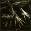Cover The Stillness of Dissolution