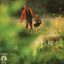 Cover La canzone del sole/ Anche per te