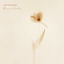 Cover Dreamlike