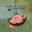 Cover Can't Forgive the Rain (Deluxe Edition)