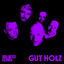 Cover Gut Holz