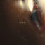 Cover Die 4 Me
