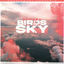 Cover Birds In The Sky