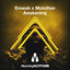 Cover Awakening