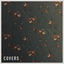 Cover Covers