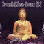 Cover Buddha Bar IX