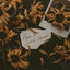 Cover Here's to Second Chances