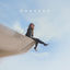 Cover Godsend