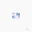 Cover BLEU