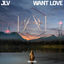 Cover Want Love