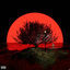 Cover Blood Moon