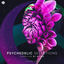 Cover Psychedelic Selections Vol 003 Compiled by Ritmo
