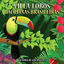 Cover Villa-Lobos: Bachianas Brasileiras