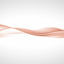Cover Lorica Pink