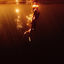 Cover Love Somebody