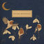 Cover Winter Moonlight