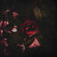 Cover Flowers