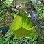 Cover Airavata