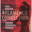 Cover Flamenco Connection