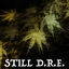 Cover Still D.R.E.