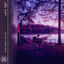 Cover Lonely Night
