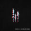 Cover Roses & Revolutions