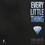 Cover Every Little Thing