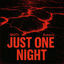 Cover Just One Night