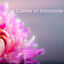 Cover Calme et Harmonie – Musique douce détente et sommeil