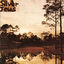 Cover Starlite Walker
