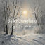 Cover Silver Snowflakes